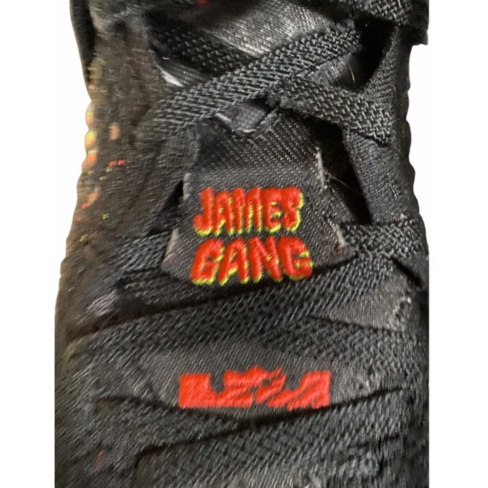 Nike lebron james